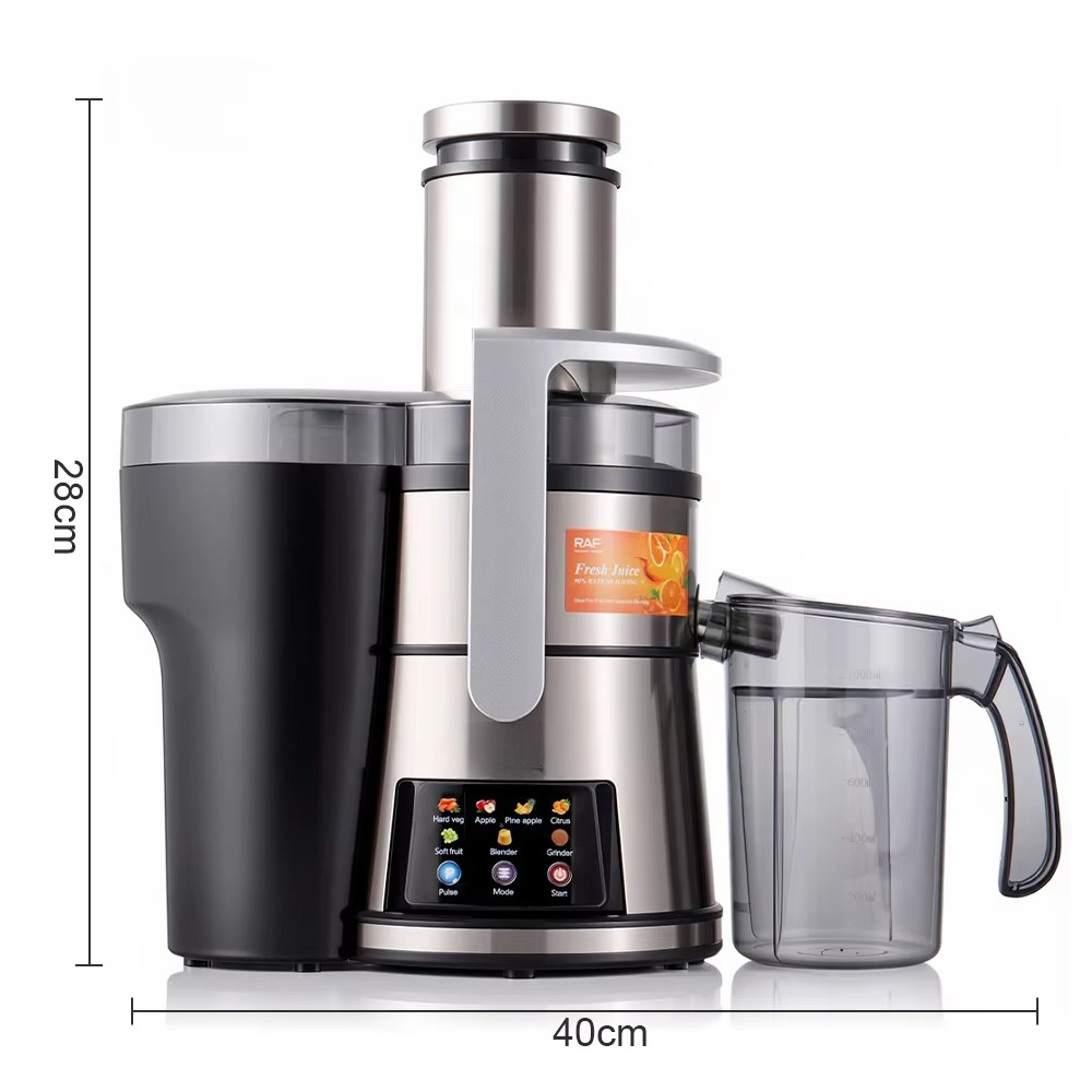 Food Processor Large - Extracteur de jus RAF 800W 10-en-1,